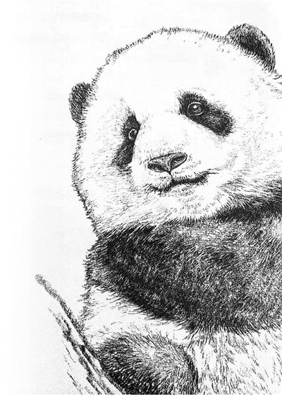 为动物写诗，是一次心灵的俯身与倾听
