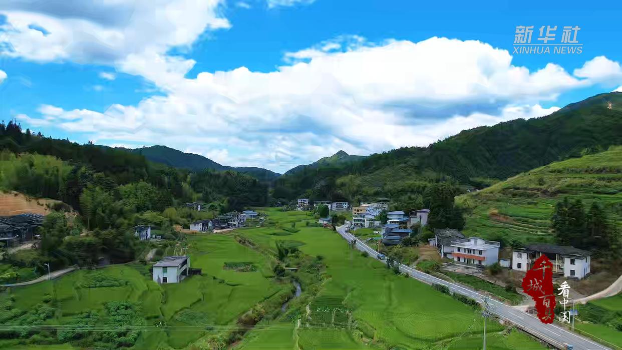 千城百县看中国｜物阜民丰 沃野生金