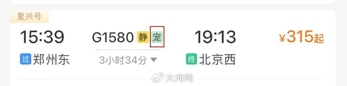 带宠物坐高铁！河南6站可办“爱宠行”→