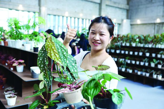 热带植物快闪展“一片叶子五位数”？