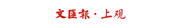 宠物龟生病就医难？这群上海大学生自研智能系统，让宠物主不再靠猜养水宠