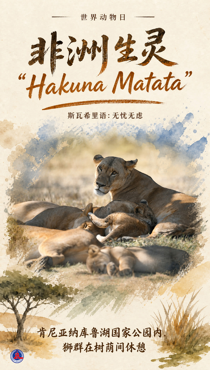 世界动物日丨非洲生灵“Hakuna Matata”